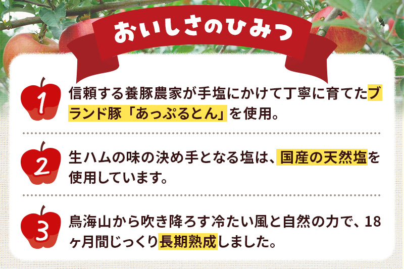 《定期便3ヶ月》秋田県横手市産 あっぷるとん 長期熟成生ハムスライス 30g×10パック