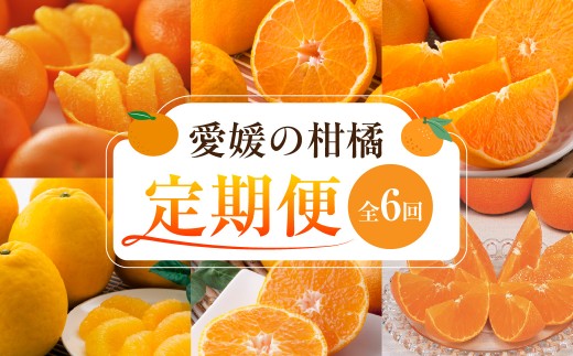 【愛媛県共通返礼品】【定期便】愛媛の柑橘定期便（全6回）（日の丸みかん・紅まどんな・いよかん・デコポン・せとか・河内晩柑） ※2026年11月～2027年4月に毎月1回発送予定 【 ふるさと納税 人気 おすすめ ランキング みかん ミカン 蜜柑 柑橘  定期便 日の丸みかん 紅まどんな いよかん デコポン せとか 河内晩柑 毎月 デザート 果実 果物 愛媛県 伊方町 送料無料】 IKTAX018