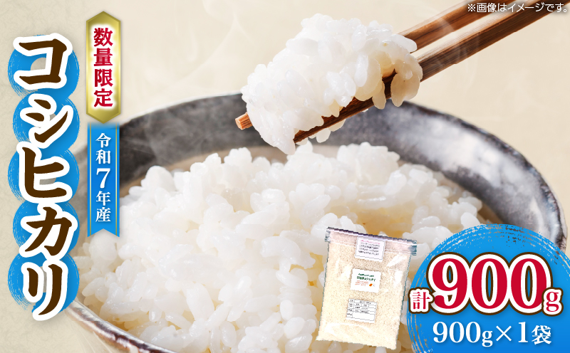 令和7年産 コシヒカリ 計900g お米 ご飯 ライス 国産 数量限定 人気 食品 精米 白米 こしひかり 有洗米 おにぎり お弁当 炊き込みご飯 雑炊 ギフト プレゼント 贈り物 お取り寄せ 産地直送 宮崎県 日南市 送料無料_ZVV3-25