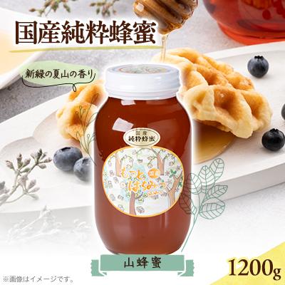 ふるさと納税 津山市 津山市産 山蜂蜜　1200g