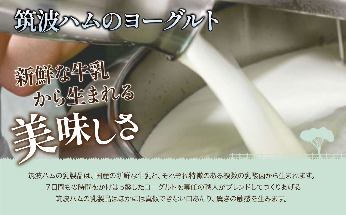 【 筑波ハム 】 ブルーベリー ご褒美ヨーグルト ギフトセット【 筑波ハム ヨーグルト クリームチーズ チーズ ブルーベリー ご褒美 乳 腸活 美容 健康 ギフト 贈答 茨城県産 国産 つくば市 】