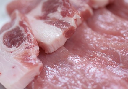 【高知県 大月町産ブランド豚】力豚ロース　焼き肉用2.2kg