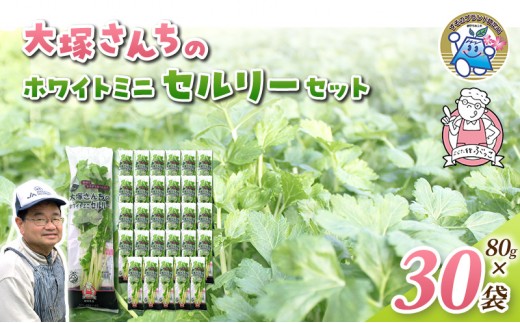 
                  ホワイトミニセルリー 30袋入り 野菜 詰め合わせ セルリー セロリ ミニセロリ 新鮮 産地直送 業務用 大容量 まとめ買い 野菜セット ギフト 詰合せ 常備野菜
                