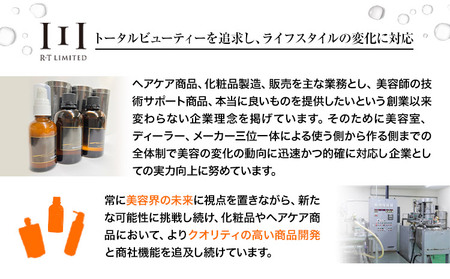 化粧水 高保湿化粧水 ANN 美保水ローション100ｍl 100ml 1本 株式会社R・T《90日以内に発送予定(土日祝除く)》肌 ギフト ローション 送料無料 徳島県 上板町