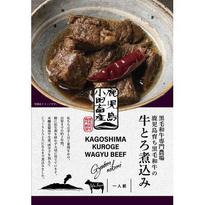 【ふるさと納税】小田牛の牛とろ煮込み　140g×2個【1755172】