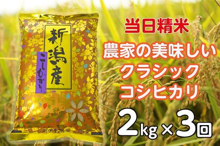 【令和6年産新米】【3ヶ月定期便】 当日精米! 農家直送 美味しい クラシックコシヒカリ 2kg×3回 計6kg 精米 白米 1F21018