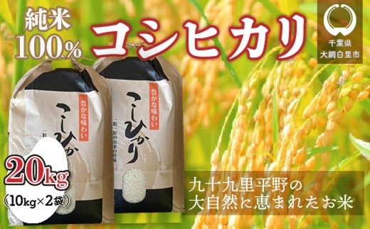 千葉県 大網白里市産 コシヒカリ 20kg（10kg×2袋） J003