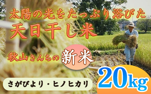 
【2024年度】秋山さんの新米 さがびより/ヒノヒカリ 20kg
