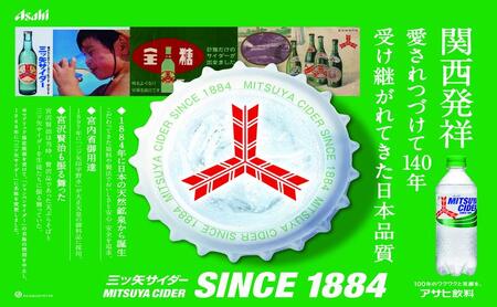 三ツ矢サイダー 缶250ml 40本 (20本入×2ケース)