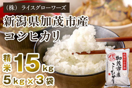 【令和7年産】新潟県 加茂市産コシヒカリ 15kg（5kg×3）《順次出荷》 （株）ライスグローワーズ