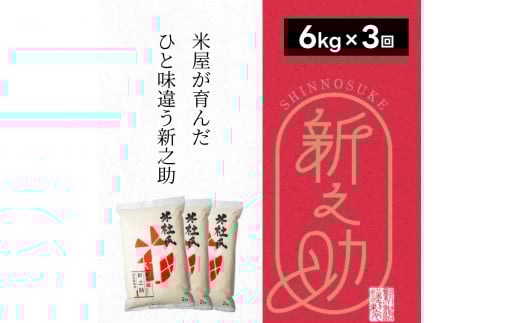 【令和7年産】【3ヶ月定期便】 特別栽培米 新之助 6kg (2kg×3袋)×3回 米杜氏 壱成 白米 精米 大粒 つや 光沢 弾力 芳醇 1H23067