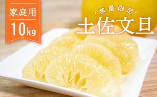 【 先行予約 】 土佐文旦 訳あり 10kg 高知県産 柑橘 フルーツ 文旦 ぶんたん ブンタン 分担 果物 みかん 文旦 産地直送 高知県 須崎 須崎市 KG0041