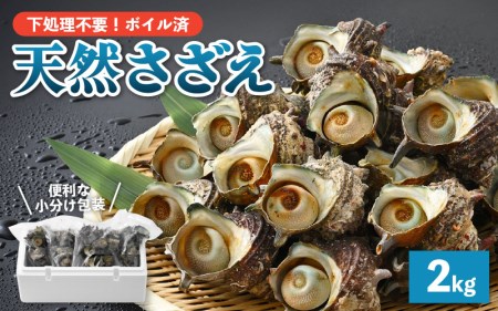 【期間限定】天然 さざえ ボイル済 26～30個入 2kg（500g × 4袋）産地直送でお届け！【越前町産 栄螺 サザエ 冷凍 小分け 海鮮 BBQ バーベキュー】 [e14-a011]