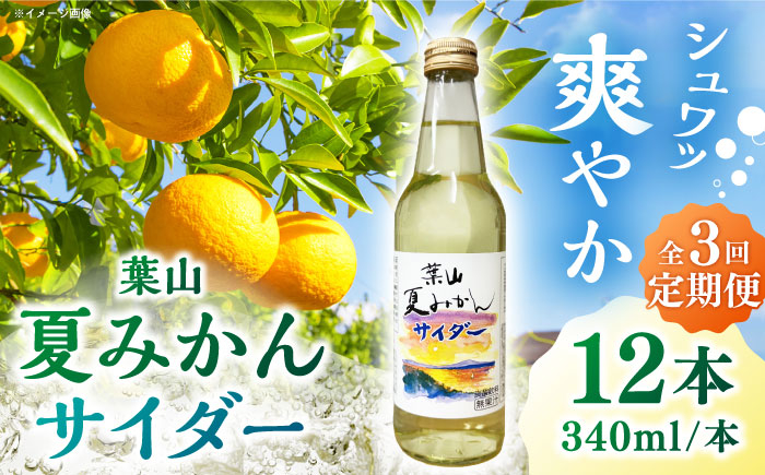 
            【全3回定期便】葉山夏みかんサイダー（12本入り） / ジュース 炭酸 ミカン 神奈川県 特産品【リカーズかさはら】 [ASBB004]
          