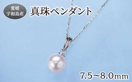 真珠 ペンダント 7.5-8.0mm 真珠会館 ネックレス パール 一粒 アクセサリー アコヤ真珠 本真珠 akoya ファッション フォーマル カジュアル 冠婚葬祭 慶事 結婚式 卒業式 入学式 お祝い ギフト 贈り物 人気 特産品 国産 愛媛 宇和島 A066-001003