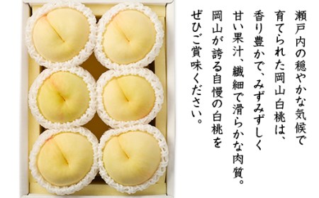 74-03 白桃5～6玉（1.2kg以上）【2025年7月上旬～8月上旬頃発送予定】