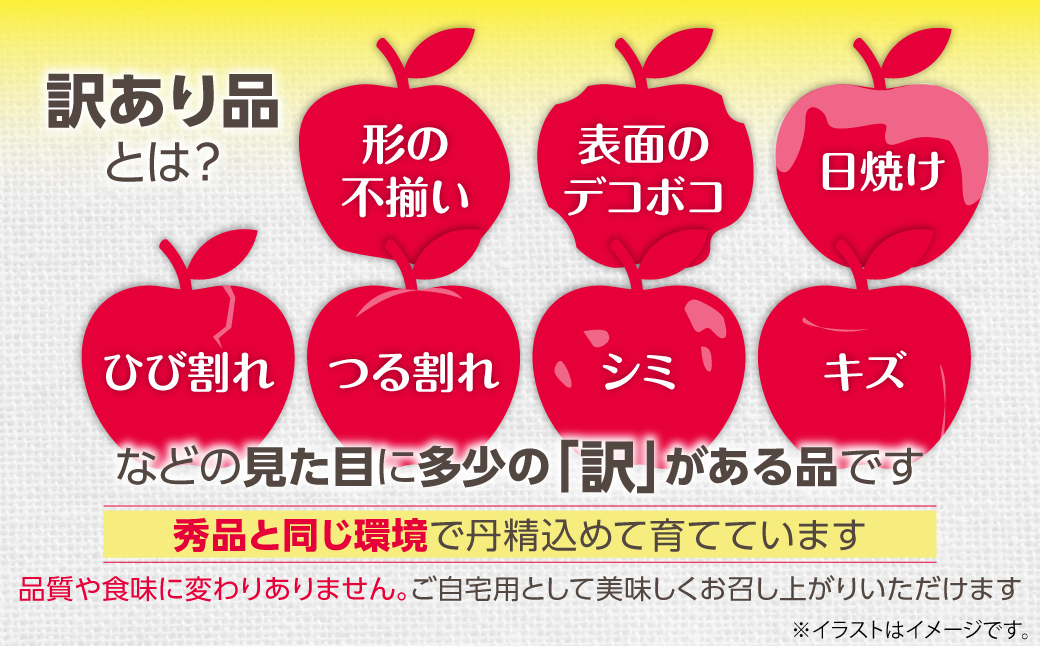 【先行予約】＜2026年12月上旬よりお届け＞北海道壮瞥町　訳ありりんご　品種名「サンふじ」約10kg SBTF030