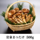 【ふるさと納税】岩泉まつたけ 直送 500g【配送不可地域：離島】【1423376】