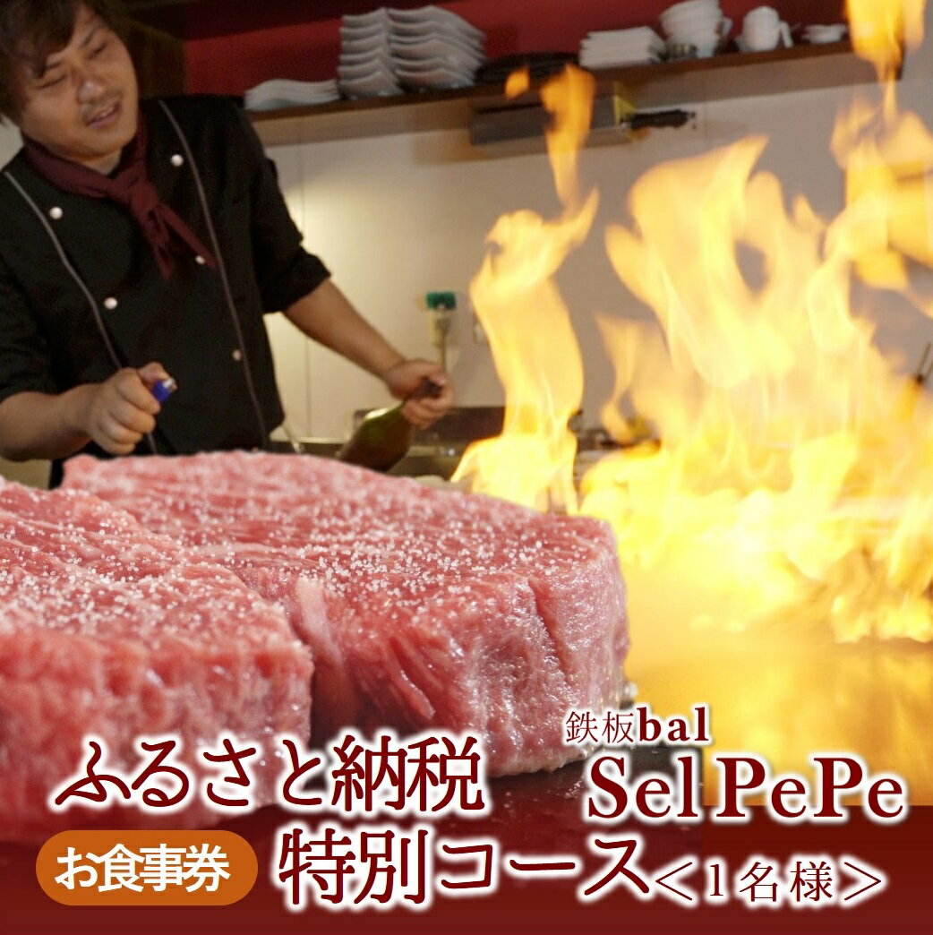 【ふるさと納税】【鉄板bal Selpepe　〜セルぺぺ〜】ふるさと納税特別コース＜1名様＞お食事券