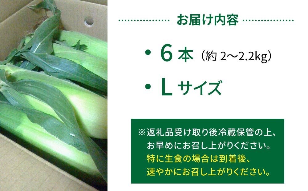 生とうもろこし Lサイズ 6本 有機肥料使用のスイートコーン！ 長野県東御市産 ※7月上旬から順次発送予定※発送日指定不可