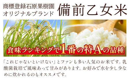 米 こめ コメ 備前乙女米 玄米 4kg 石原果樹園《30日以内に出荷予定（土日祝除く）》岡山県 浅口市 ご飯 お米 国産 岡山県産 送料無料