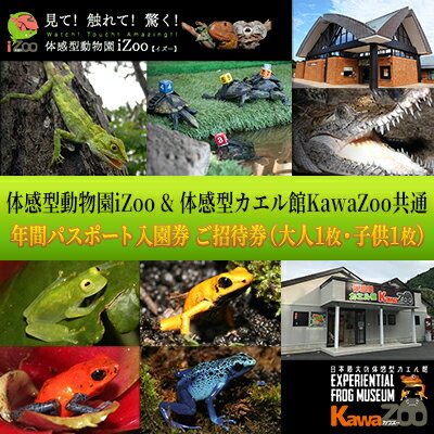 【ふるさと納税】動物園 iZoo 大人1名 子供1名 KawaZoo 共通年間パスポート 入園券 爬虫類 カエル館 バナナワニ園 バガテル公園 観光 チケット 静岡県河津町　チケット 年パス 日本最大級 近距離 希少な動物 体感型動物園 カエル專門施設 お出かけ