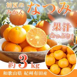 【2026年4月より発送】初夏のみかん　なつみ3kg【配送不可地域：離島】【1327770】