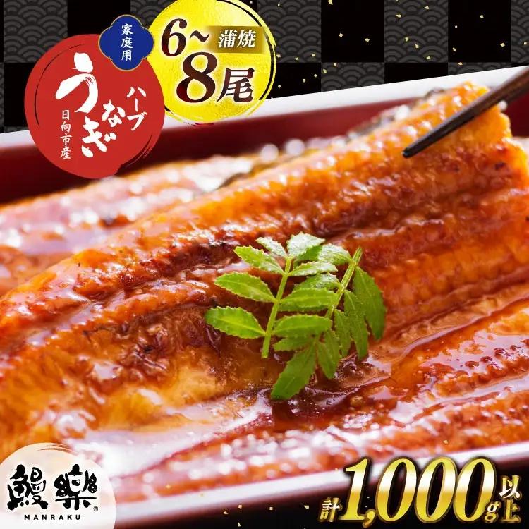 うなぎ 国産 蒲焼 計1kg以上 6～8尾 うなぎ  [452061198]