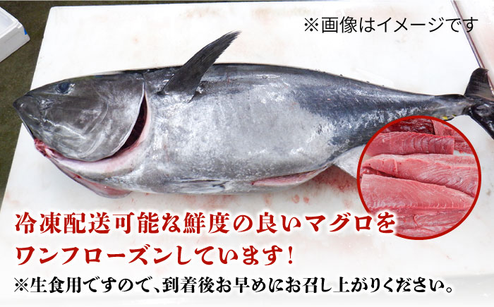 長崎県五島産 近大マグロ  （赤身）刺身ブロック 五島市/五島ヤマフ [PAK019]