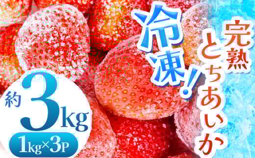 【数量限定】 完熟！冷凍とちあいか 約3kg |  グラム数 選べる いちご とちあいか 冷凍 冷凍イチゴ スイーツ ジャム スムージー たっぷり 大粒 甘い 美味しい 果物 デザート 栃木県 真岡市 送料無料