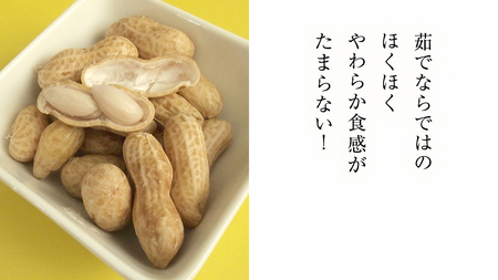 牛久市産 茹で 落花生 300g × 3袋 セット 計900g 茹で落花生 ゆで落花生 ピーナッツ ナッツ 詰合せ 豆 無塩 塩分不使用 おつまみ おやつ お菓子 素焼き マメ まめ 料理 お茶漬け 