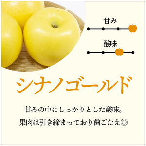 【先行予約】令和6年産 りんご サンふじ シナノゴールド セット 訳あり 10kg (28～36玉)  11月下旬発送予定 数量限定 人気 お試し 甘い 旬 果物 リンゴ フルーツ 林檎 岩手県 金ケ