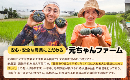 玄米パフ(10パック入り) 自然で優しい素朴なスナック菓子 元ちゃんファーム