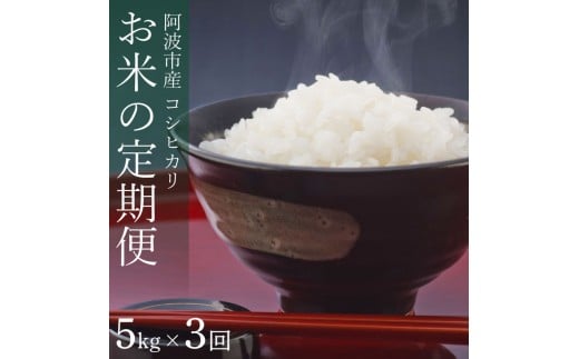 定期便 3回 米 コシヒカリ 5kg 令和7年産 米 こめ ご飯 ごはん おにぎり 白米 精米 卵かけご飯 食品 備蓄 備蓄米 保存 防災 ギフト 贈答 プレゼント お取り寄せ グルメ 送料無料 徳島県 阿波市 栗栖農園