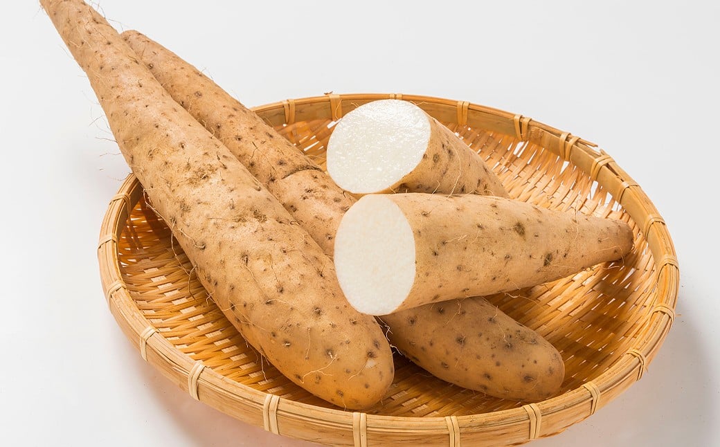 訳あり鳥取砂丘長芋 2.5kg【数量限定】