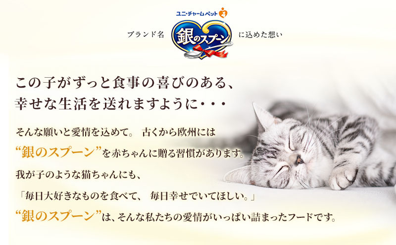 銀のスプーン三ツ星グルメ お魚クリームまぐろ味レシピ3種のアソート 180g×6箱 ペットフード キャットフード 猫のごはん 猫用フード 猫 ペット 小分け 個包装 ドライ ユニ・チャーム ペット