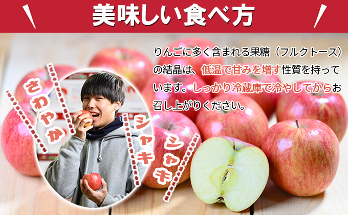 【8月クール便発送】（12度糖度保証）贈答用きおう約5kg【弘前市産・青森りんご】