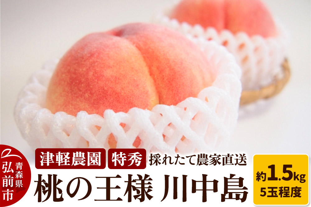 【26年8月発送】もも【2026年産 桃の王様 川中島】特秀 約1.5kg 5玉程度 津軽農園 採れたて 農家直送