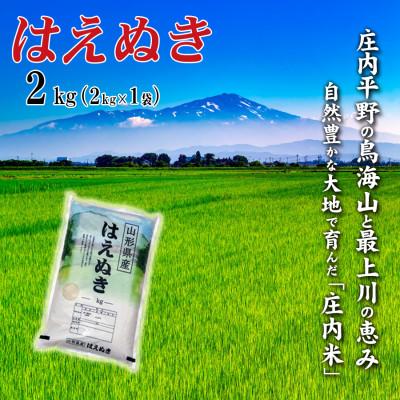 ふるさと納税 酒田市 【令和7年産】山形県産はえぬき 2kg 精米