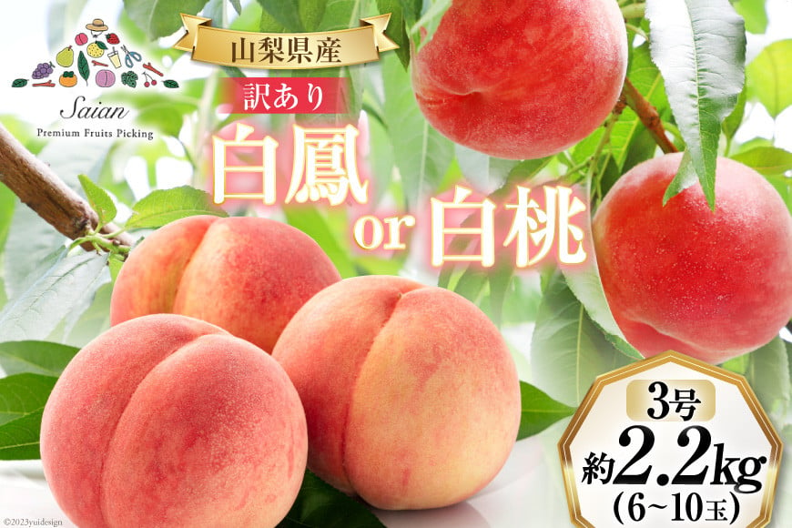 【2025年発送】訳あり もも 白鳳 or 白桃 3号 約2.2kg (6～10玉)【6月後半から順次発送】 [斎庵 山梨県 韮崎市 20742800] 桃 モモ 果物 フルーツ 山梨 期間限定 季節限定 冷蔵 農福連携