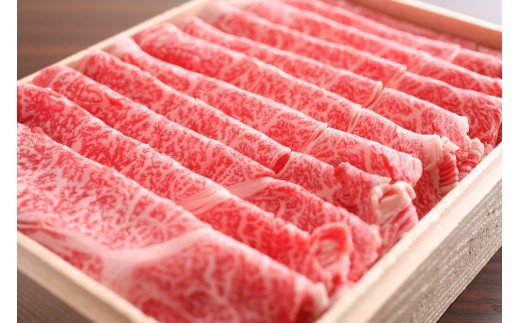 ＜8月から寄附額改定＞飛騨牛 肩ロースしゃぶしゃぶ用 500g 飛騨牛 カタロース ロース しゃぶしゃぶ プロ厳選 牛肉 和牛 肉 国産 鍋 通常 贈り物 ギフト 30000円 3万円