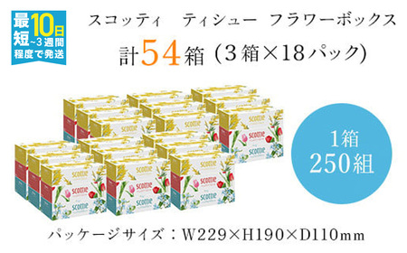 ティッシュペーパー スコッティ ティシューフラワーボックス 250組 × 54箱 ティッシュ 日用品