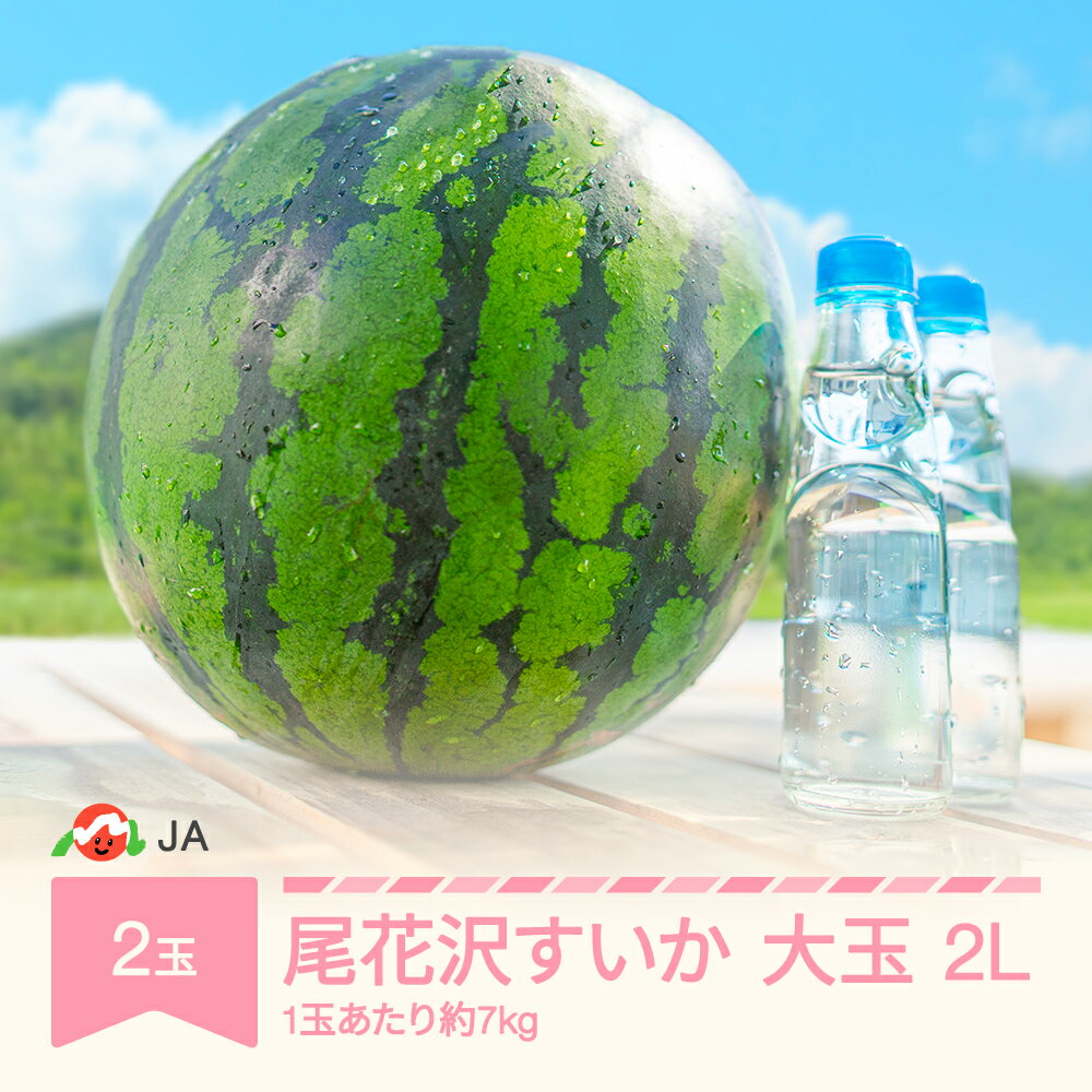 【ふるさと納税】 先行予約 大玉 すいか スイカ 2L×2玉入り 令和7年産 2025年産 尾花沢すいか 果物 送料無料