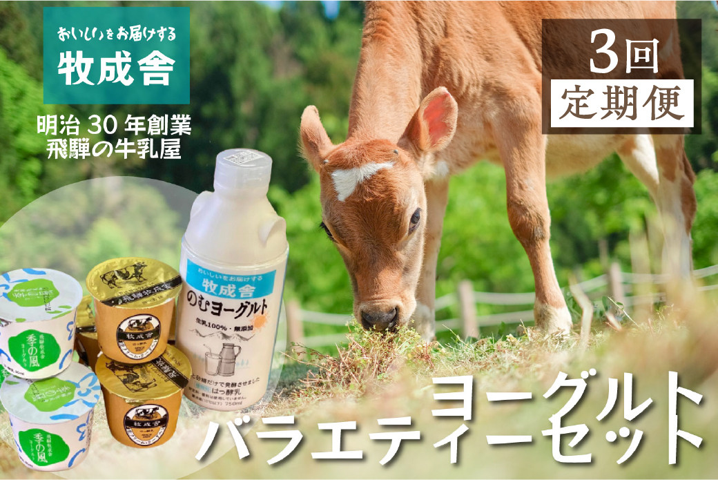 
                  《定期便》こだわりヨーグルトセット 3回お届け 牧成舎 のむヨーグルト 生クリームヨーグルト 季の風 12個セット
                