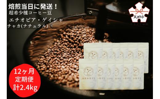 【定期便(12か月)】焙煎当日に発送！超希少種コーヒー豆『エチオピア ゲイシャ』ゲシャビレッジ農園 ナチュラル粉