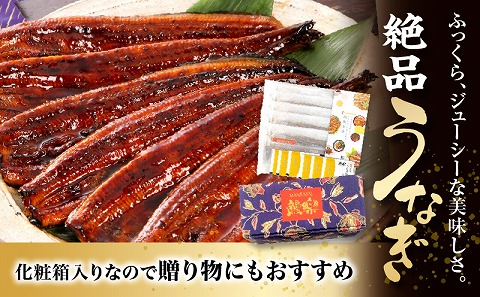 国産うなぎ 蒲焼6尾(計1,020g以上) 鰻蒲焼用たれとさんしょうのセット|うなぎ1尾170g以上の鰻6尾からなるウナギの詰め合わせ