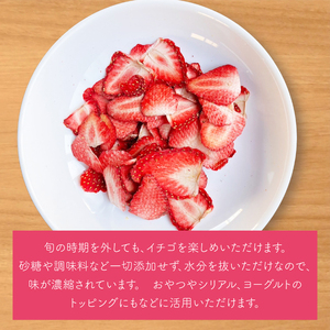 【2025年12月下旬より順次発送】【無添加】ドライとちおとめ 約20g×3｜ドライフルーツ フルーツ くだもの 果物 無添加 いちご 苺 イチゴ とちおとめ 乾燥フルーツ セット 非常食 長期保存 