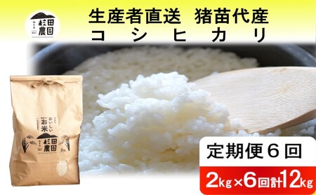 【定期便 6回】【令和7年度産】 米 コシヒカリ 12kg(2kg×6回) 白米 精米 ※沖縄・離島への配送不可