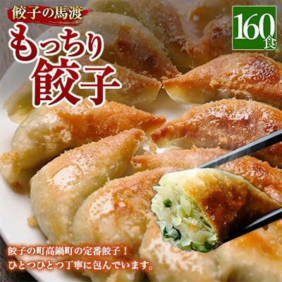 ふるさと納税 高鍋町 馬渡のもっちり餃子160個 |  | 01