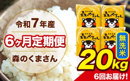 米 令和7年産 森のくまさん 無洗米 20kg 5kg×4袋 計6回お届け 《お申込み翌月から出荷》 お米 こめ 熊本県産 ご飯 備蓄